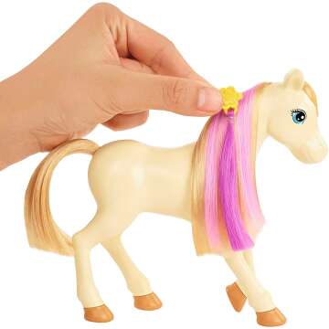 Barbie Groom 'n Care Horses Playset with Doll