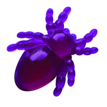 Creative Gummy Candy Lab STEM Kit for Sweet Science Fun