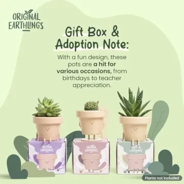 Cute 3.5 Inch Planter with Drainage for Plant Lovers