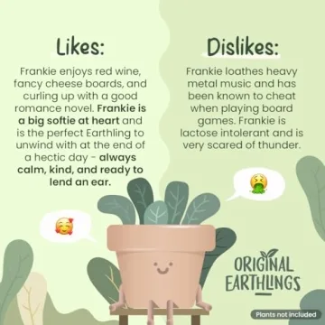 Cute 3.5 Inch Planter with Drainage for Plant Lovers