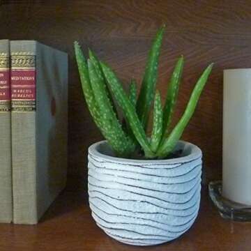 Small Flower Pot - Decorative White Cement Planter for Succulent Plants with Drainage Hole
