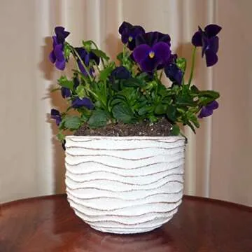 Small Flower Pot - Decorative White Cement Planter for Succulent Plants with Drainage Hole