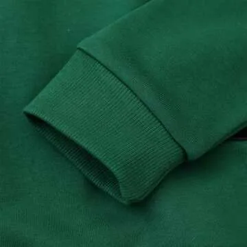 Bumeex Toddler Boy Sweatshirt Clothes Spring Fall Winter Long Sleeve Shirt Fashion Top Clothing Outfits Green Zebra 2t