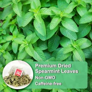 FullChea - Spearmint Tea Bags, 40 Teabags, 1.5g/bag - Premium Spearmint Leaves - Non-GMO - Caffeine-...