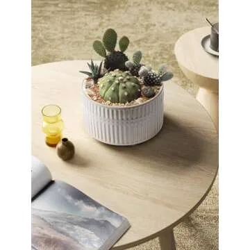 LE TAUCI Succulent Pots, 6.5+8 Inch Ceramic Indoor Plant Pot with Drainage Hole, Modern Round Decorative Flower Pot, Set of 2, Reactive Glaze Star White