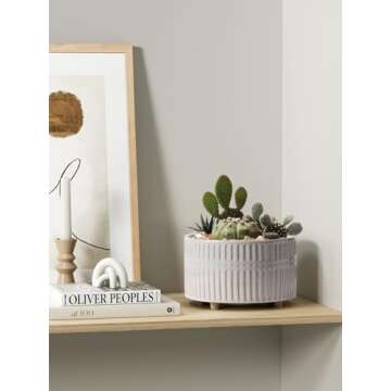 LE TAUCI Succulent Pots, 6.5+8 Inch Ceramic Indoor Plant Pot with Drainage Hole, Modern Round Decorative Flower Pot, Set of 2, Reactive Glaze Star White