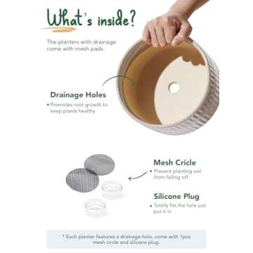 LE TAUCI Succulent Pots, 6.5+8 Inch Ceramic Indoor Plant Pot with Drainage Hole, Modern Round Decorative Flower Pot, Set of 2, Reactive Glaze Star White