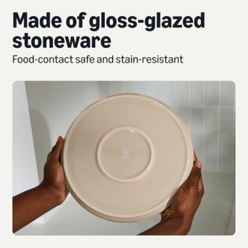 Stoneware Dinner Plates Set, Dishwasher and Microwave Safe