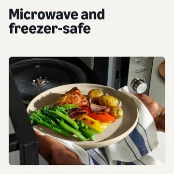 Stoneware Dinner Plates Set, Dishwasher and Microwave Safe