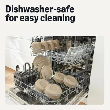 Stoneware Dinner Plates Set, Dishwasher and Microwave Safe