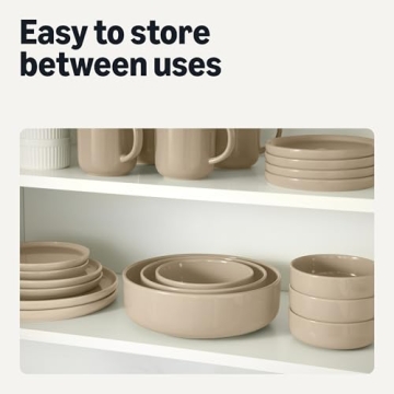 Stoneware Dinner Plates Set, Dishwasher and Microwave Safe