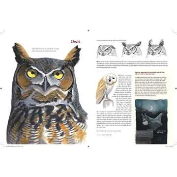 What It's Like to Be a Bird: From Flying to Nesting, Eating to Singing--What Birds Are Doing, and Why (Sibley Guides)