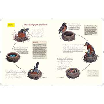 What It's Like to Be a Bird: From Flying to Nesting, Eating to Singing--What Birds Are Doing, and Why (Sibley Guides)