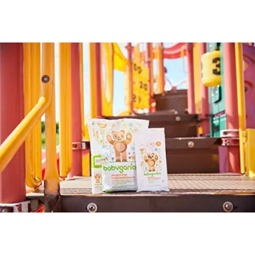 Babyganics Alcohol Free Foaming Hand Sanitizer 8oz