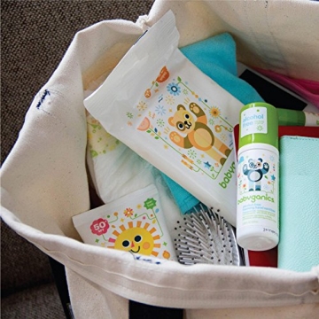 Babyganics Alcohol Free Foaming Hand Sanitizer 8oz