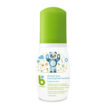 Babyganics Alcohol Free Foaming Hand Sanitizer 8oz
