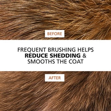 Wahl Premium Pet Double Sided Brush for Dogs and Cats