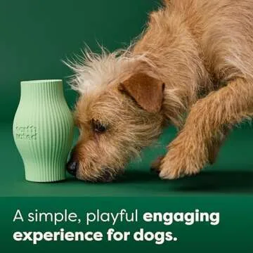 Earth Rated Treat Dispensing Dog Toys, Enrichment Toy for Adult and Puppy Dogs, Slow Feeder, Dishwasher and Freezer-Safe, Natural Rubber, Small, Green