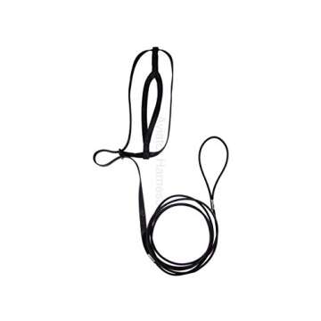 The AVIATOR Pet Bird Harness and Leash: Large Black