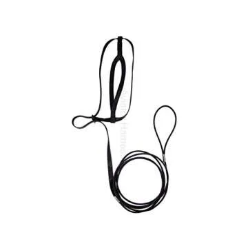 The AVIATOR Pet Bird Harness and Leash: Large Black