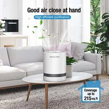 RIGOGLIOSO True HEPA Filter Air Purifier for Home Smokers Allergies and Pets Hair,Filtration System Cleaner Eliminators,Compact Desktop Purifiers Filtration with Night Light,Air Cleaner,GL2109