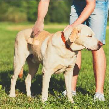 Eco-Friendly Muse&Iris Dog & Cat Slicker Brush - Groom with Style