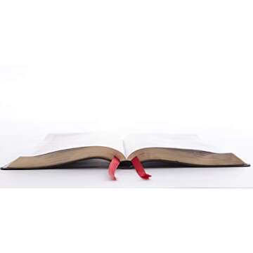 KJV Holy Bible: Giant Print with 53,000 Cross References, Deluxe Black Leathersoft, Red Letter, Comfort Print: King James Version