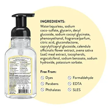 J.R. Watkins Natural Foaming Hand Soap - Refreshing Lemon Scent