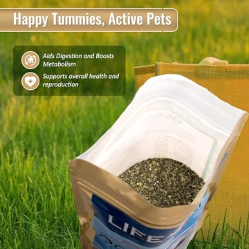 Organic Ocean Kelp Supplements for Pet Health