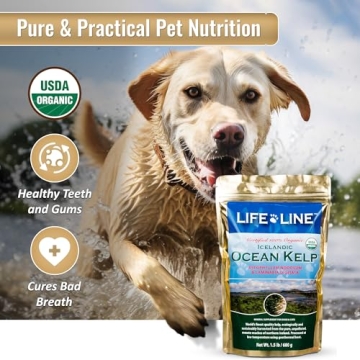 Organic Ocean Kelp Supplements for Pet Health
