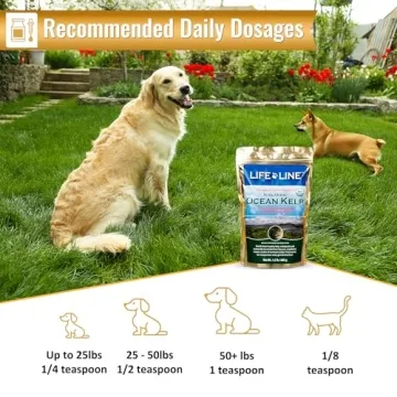 Organic Ocean Kelp Supplements for Pet Health