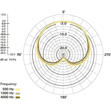 RØDE NT-USB Microphone for Quality Streaming and Music