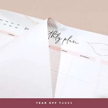 Non-Dated Desk Pad Blotter Office Calendar La Lune Collection by Bright Day, 16 Month 15.5 x 11 Inch, Floral Monthly Organizer Check List (Pink Abstract)