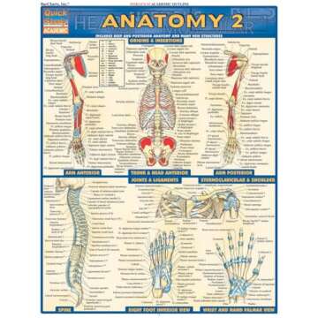 Anatomy 2 QuickStudy Laminated Reference Guide for Students