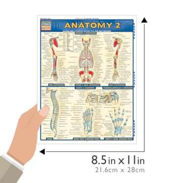 Anatomy 2 QuickStudy Laminated Reference Guide for Students