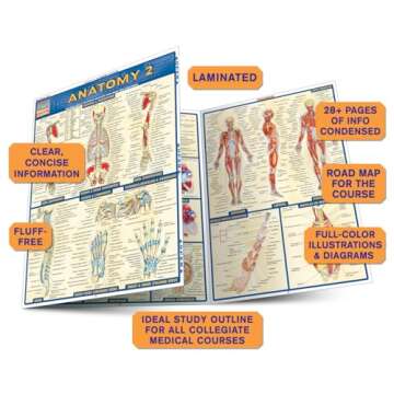 Anatomy 2 QuickStudy Laminated Reference Guide for Students