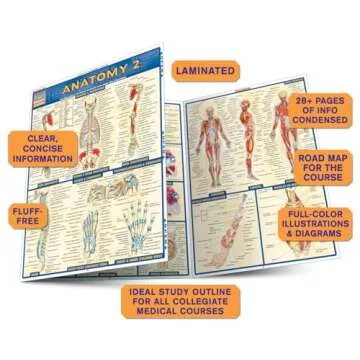 Anatomy 2 QuickStudy Laminated Reference Guide for Students