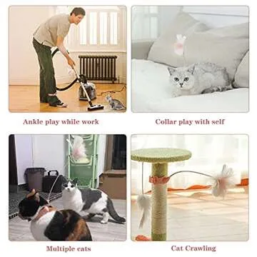 Interactive PetBOYA Collar Toy for Indoor Cats and Kittens