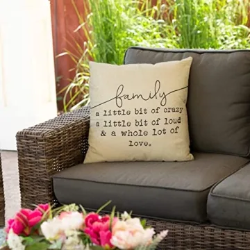 Fjfz Family Pillows, Farmhouse Decorative Cushion Covers