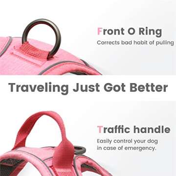 Pawaii Dog Harness for Small Dogs, Dog Harness with Pet ID Tag, No Choke Dog Harness, Adjustable Soft Padded Pet Vest with Easy Control Handle