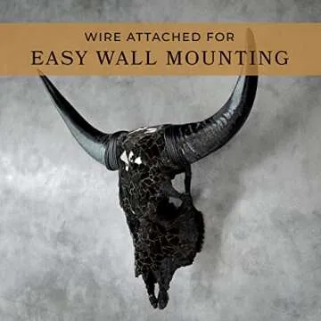 Skull Bliss - Hand-Crafted Real Authentic Taxidermy Cow Skull/Bull Skull Wall Decor with XL Horns/Real Animal Cow Skull Wall Decor (Standard Horns)