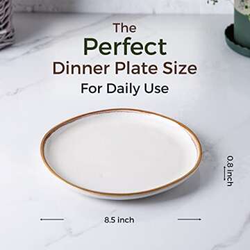 AmorArc Ceramic Plates Set of 6, 8.5 Inch Handmade Reactive Glaze Stoneware Plates set for Dessert, ...