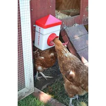 RentACoop Chick2Chicken Feeder for All Birds - 2.5lb