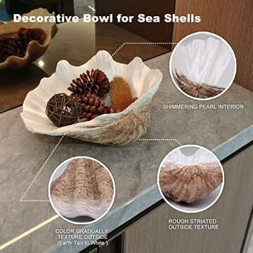 Large Earth Tan-White Sea Shells Decorative Bowl - Beach Decor