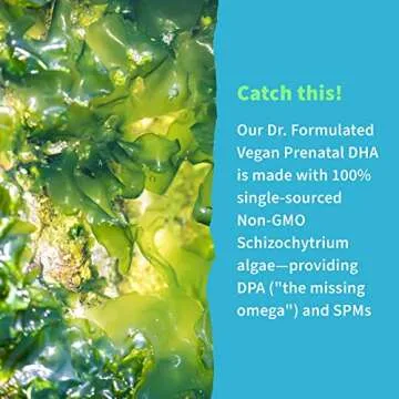 Garden of Life Dr. Formulated Prenatal Vegan DHA - Certified Vegan Omega 3 Supplement with 400mg DHA + DPA from Algal Omega 3 in Triglyceride Form, Non-GMO Algae Omega 3 for Vegans, 30 Softgels