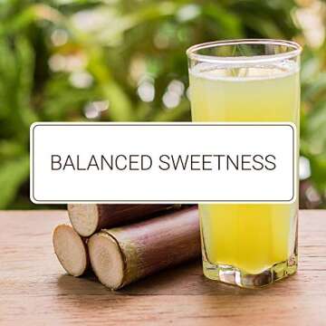 Monin - Pure Cane Syrup, Pure and Sweet, Great for Coffee, Tea, and Specialty Cocktails, Gluten-Free, Non-GMO (1 Liter)