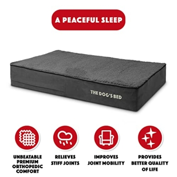 The Dog’s Bed Orthopedic Memory Foam Dog Bed - Large Grey Plush with Pain Relief for Arthritis and...