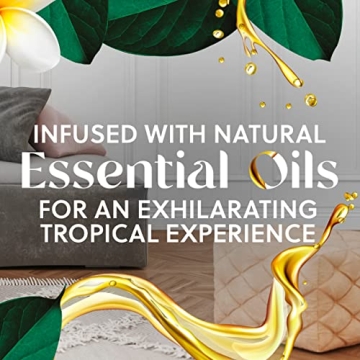 Air Wick Essential Oil Lavender Scented Oil Refill Pack