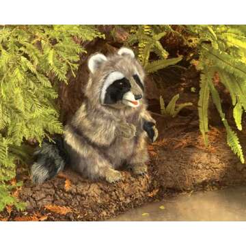 Folkmanis Raccoon Hand Puppet | Fun for All Ages