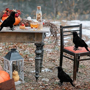 Lifelike FUNPENY Halloween Black Feathered Crows - 6 Pack